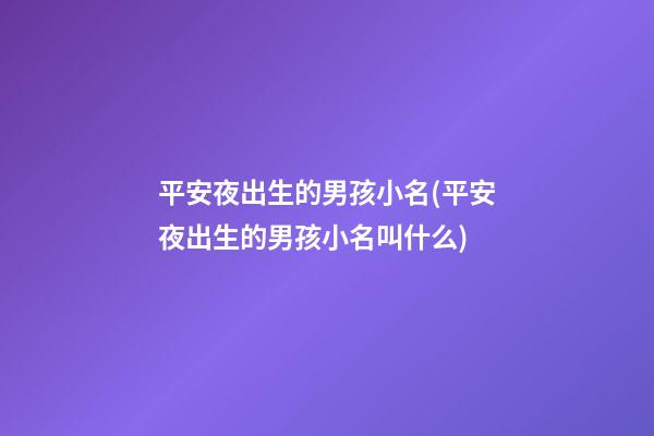 平安夜出生的男孩小名(平安夜出生的男孩小名叫什么)
