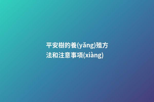 平安樹的養(yǎng)殖方法和注意事項(xiàng)