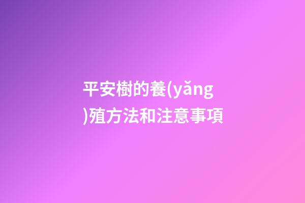 平安樹的養(yǎng)殖方法和注意事項