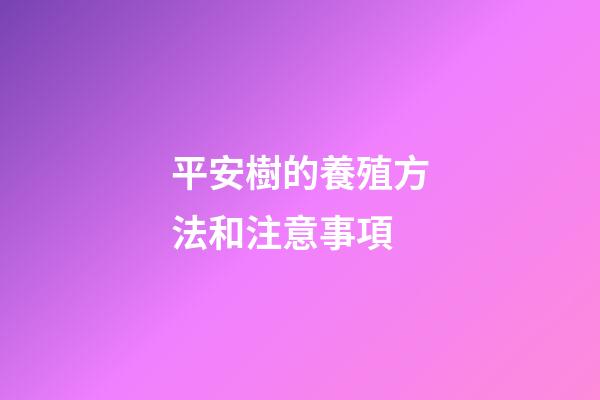 平安樹的養殖方法和注意事項