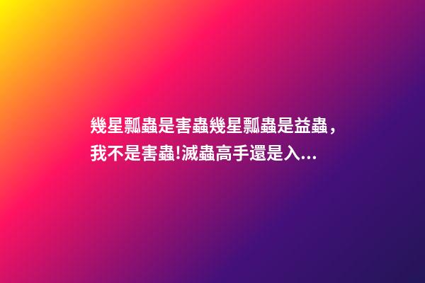 幾星瓢蟲是害蟲幾星瓢蟲是益蟲，我不是害蟲!滅蟲高手還是入侵物種-第1張-觀點-玄機派