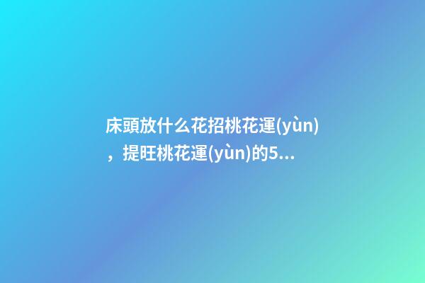 床頭放什么花招桃花運(yùn)，提旺桃花運(yùn)的5種花