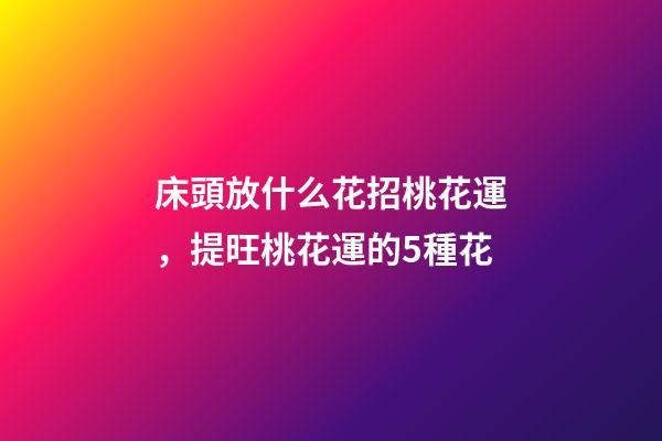 床頭放什么花招桃花運，提旺桃花運的5種花