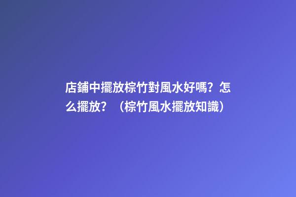 店鋪中擺放棕竹對風水好嗎？怎么擺放？（棕竹風水擺放知識）