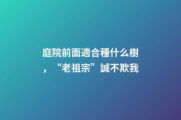 庭院前面適合種什么樹，“老祖宗”誠不欺我-第1張-觀點-玄機派