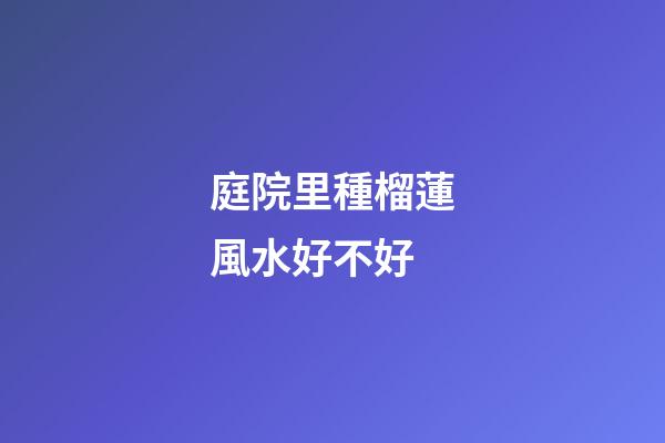 庭院里種榴蓮風水好不好