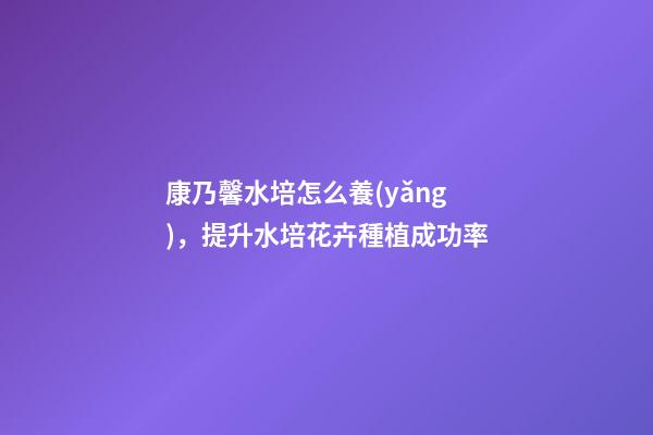 康乃馨水培怎么養(yǎng)，提升水培花卉種植成功率-第1張-觀點-玄機(jī)派