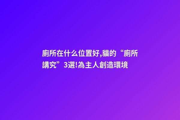 廁所在什么位置好,貓的“廁所講究”3選!為主人創造環境-第1張-觀點-玄機派