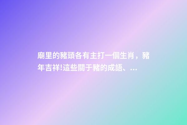 廟里的豬頭各有主打一個生肖，豬年吉祥!這些關于豬的成語、俗語、歇后語-第1張-觀點-玄機派