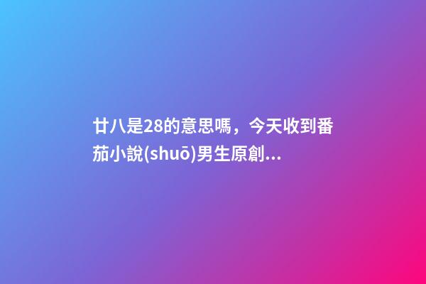 廿八是28的意思嗎，今天收到番茄小說(shuō)男生原創(chuàng)新書(shū)排行榜第28名是什么意思-第1張-觀點(diǎn)-玄機(jī)派