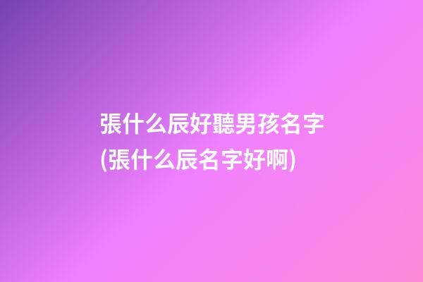 張什么辰好聽男孩名字(張什么辰名字好啊)