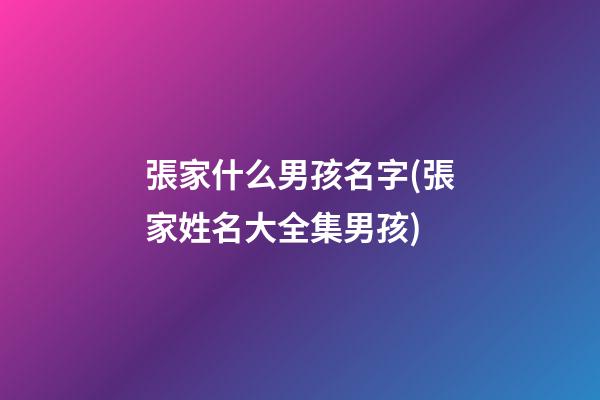 張家什么男孩名字(張家姓名大全集男孩)