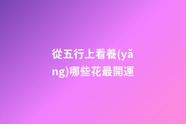 從五行上看養(yǎng)哪些花最開運