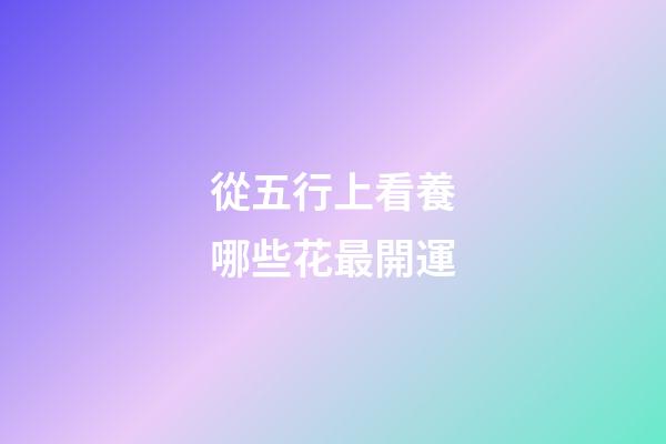 從五行上看養哪些花最開運