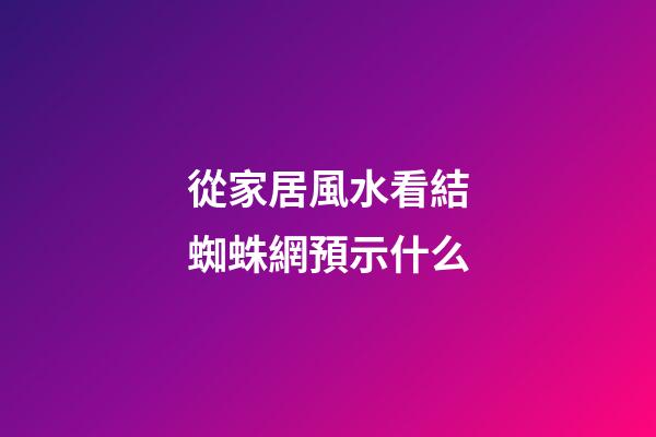 從家居風水看結蜘蛛網預示什么
