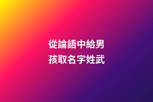 從論語中給男孩取名字姓武(論語里男孩名字)-第1張-男孩起名-玄機派