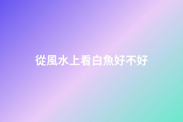 從風水上看白魚好不好