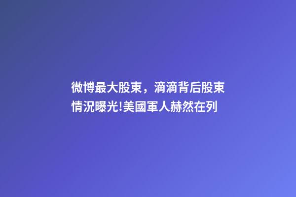 微博最大股東，滴滴背后股東情況曝光!美國軍人赫然在列-第1張-觀點-玄機派
