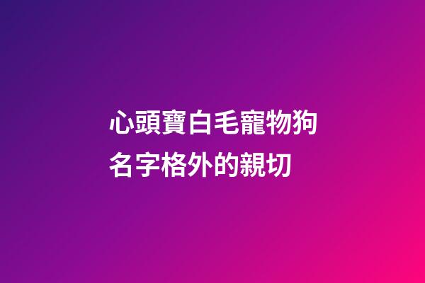 心頭寶白毛寵物狗名字格外的親切