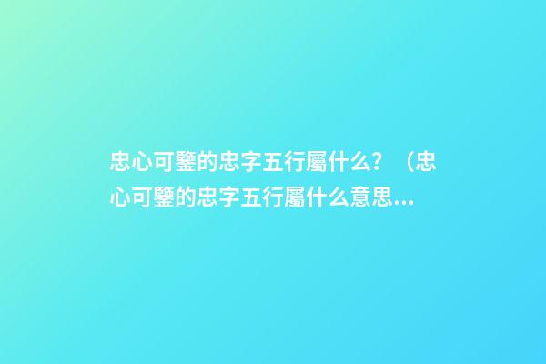 忠心可鑒的忠字五行屬什么？（忠心可鑒的忠字五行屬什么意思）