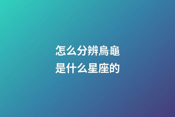 怎么分辨烏龜是什么星座的