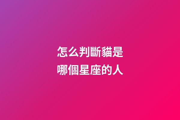 怎么判斷貓是哪個星座的人-第1張-星座運勢-玄機派