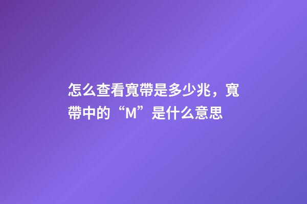 怎么查看寬帶是多少兆，寬帶中的“M(兆)”是什么意思-第1張-觀點-玄機派