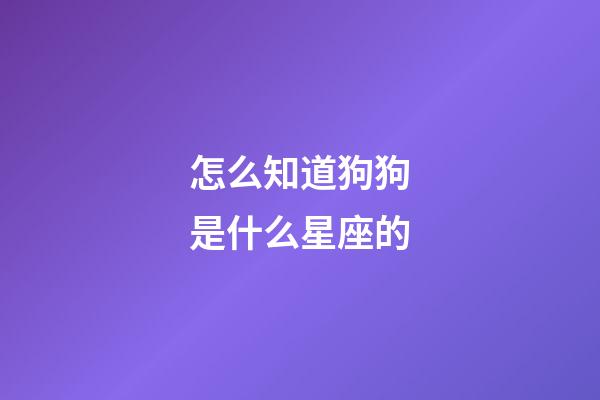 怎么知道狗狗是什么星座的-第1張-星座運(yùn)勢-玄機(jī)派