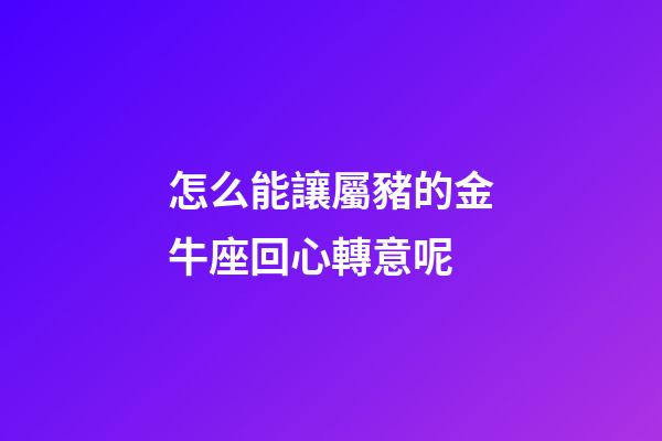 怎么能讓屬豬的金牛座回心轉意呢-第1張-星座運勢-玄機派