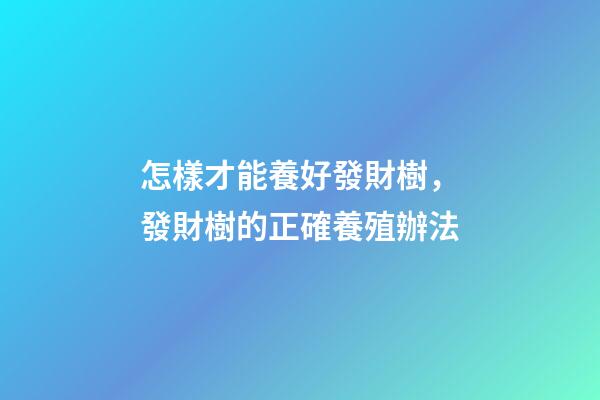 怎樣才能養好發財樹，發財樹的正確養殖辦法-第1張-觀點-玄機派