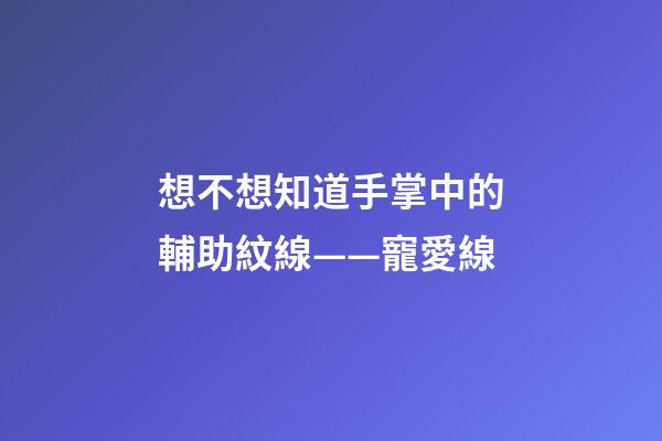 想不想知道手掌中的輔助紋線——寵愛線