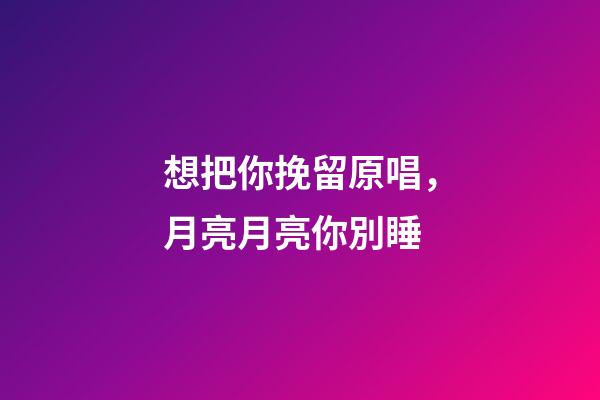 想把你挽留原唱，月亮月亮你別睡-第1張-觀點-玄機派