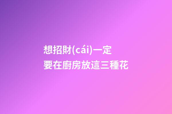 想招財(cái)一定要在廚房放這三種花