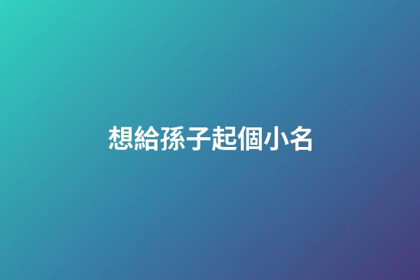 想給孫子起個小名(給孫子取個小名什么好聽)-第1張-寶寶起名-玄機派
