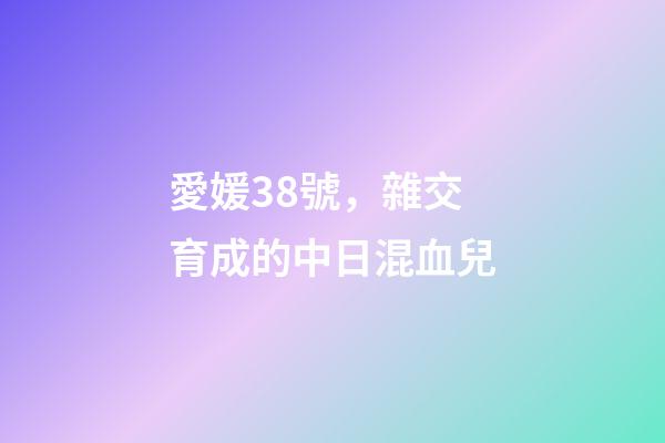 愛媛38號，雜交育成的中日混血兒-第1張-觀點-玄機派