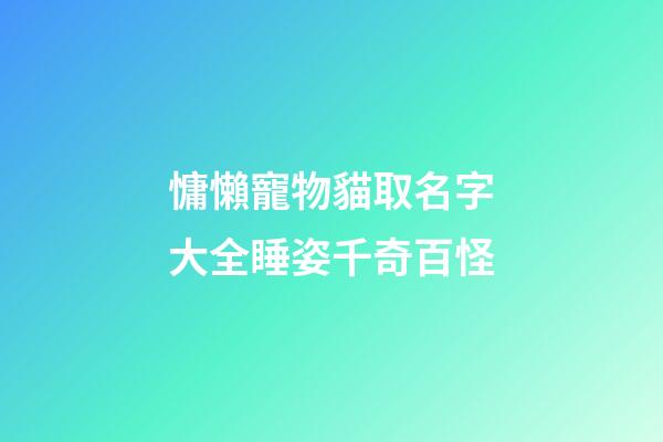 慵懶寵物貓取名字大全睡姿千奇百怪