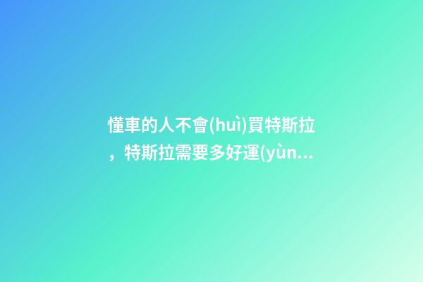 懂車的人不會(huì)買特斯拉，特斯拉需要多好運(yùn)氣才能買到一輛沒(méi)有問(wèn)題-第1張-觀點(diǎn)-玄機(jī)派