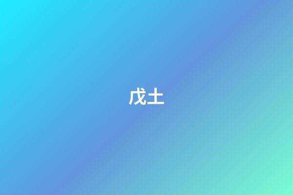 戊土
