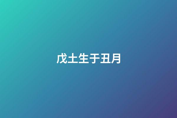 戊土生于丑月