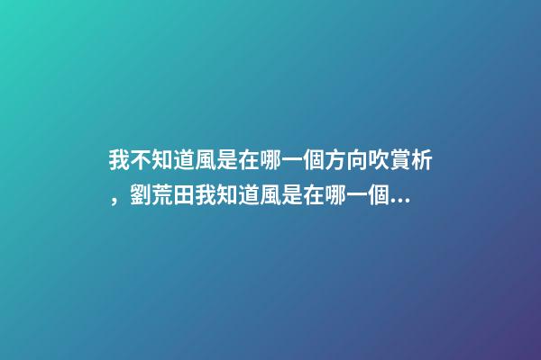 我不知道風是在哪一個方向吹賞析，劉荒田我知道風是在哪一個方向吹