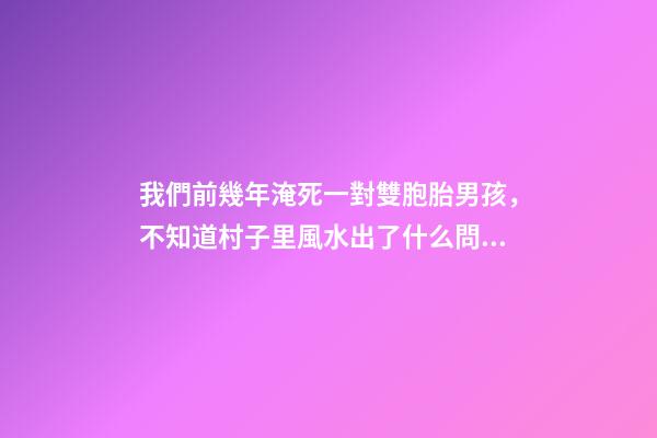 我們前幾年淹死一對雙胞胎男孩，不知道村子里風水出了什么問題導