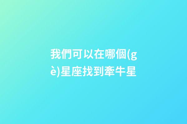 我們可以在哪個(gè)星座找到牽牛星