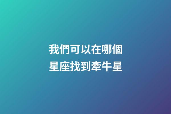 我們可以在哪個星座找到牽牛星-第1張-星座運勢-玄機派