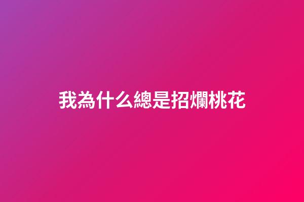 我為什么總是招爛桃花