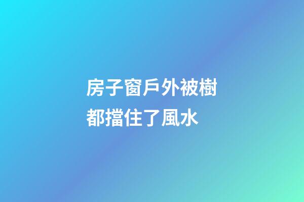房子窗戶外被樹都擋住了風水