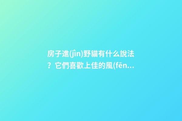 房子進(jìn)野貓有什么說法？它們喜歡上佳的風(fēng)水住宅
