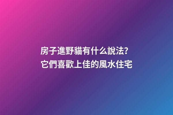 房子進野貓有什么說法？它們喜歡上佳的風水住宅