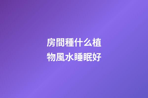房間種什么植物風水睡眠好