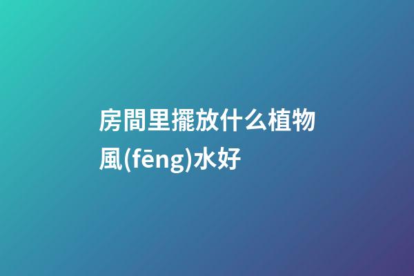房間里擺放什么植物風(fēng)水好