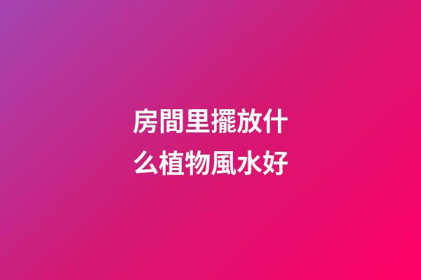 房間里擺放什么植物風水好